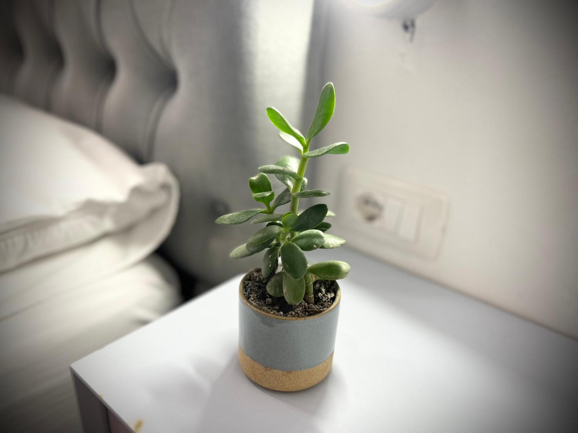 Tirana Square Hotel 외부 사진
